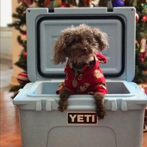 Meet your Posher, Drew